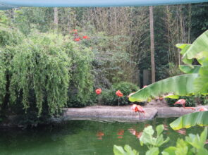 Zoo de la Boissière