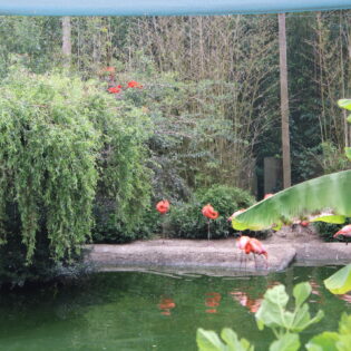 zoo-de-la-boissiere