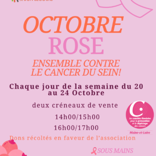 octobre-rose-a-lehpad