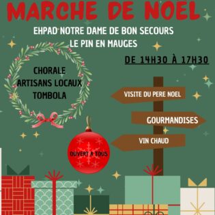 preparation-de-notre-marche-de-noel-%f0%9f%8e%84