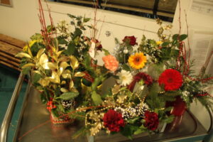 IMG_7177 - Copie (2)