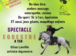 Spectacle équestre